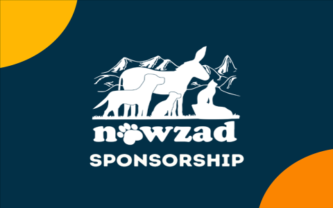 sponsor animals