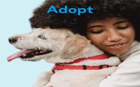 found animals adopt and shop