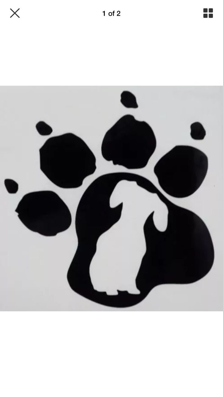 dachshund paw print