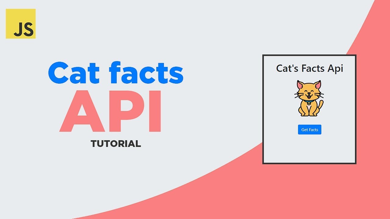 cats api