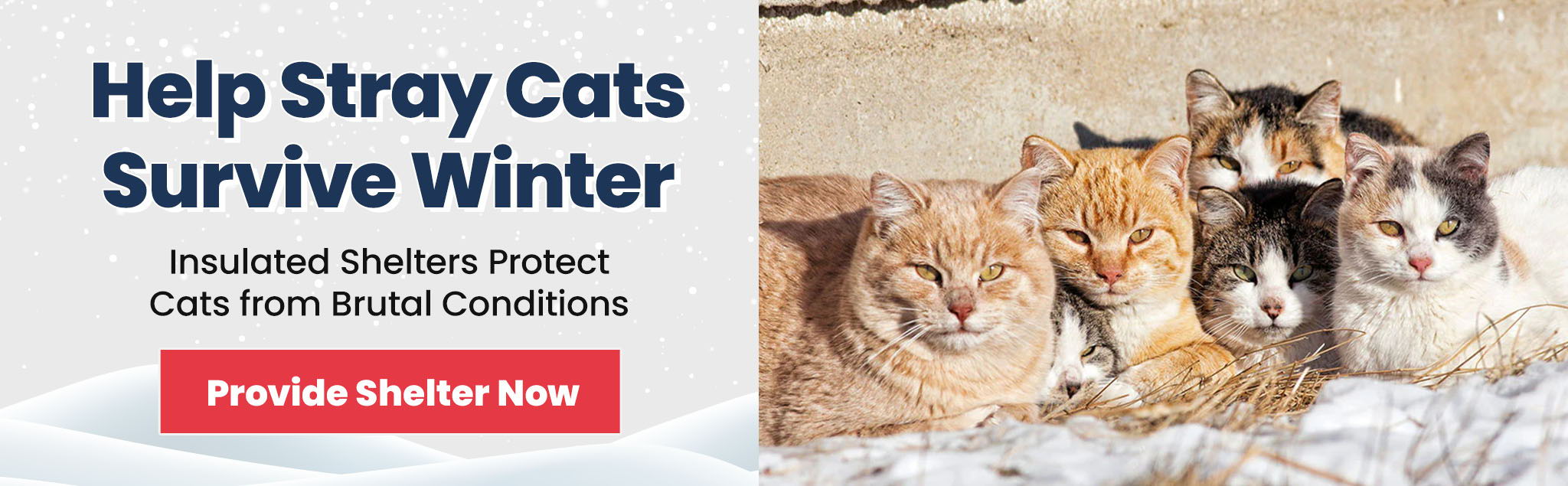 animal rescue shopping site