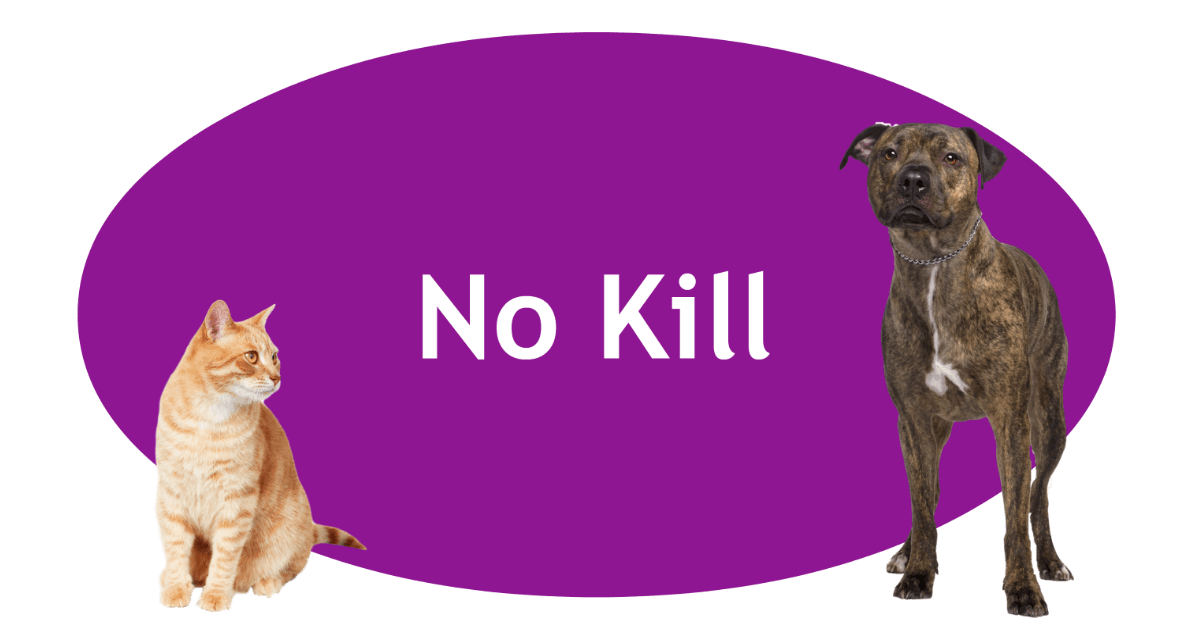 nearby no kill shelters