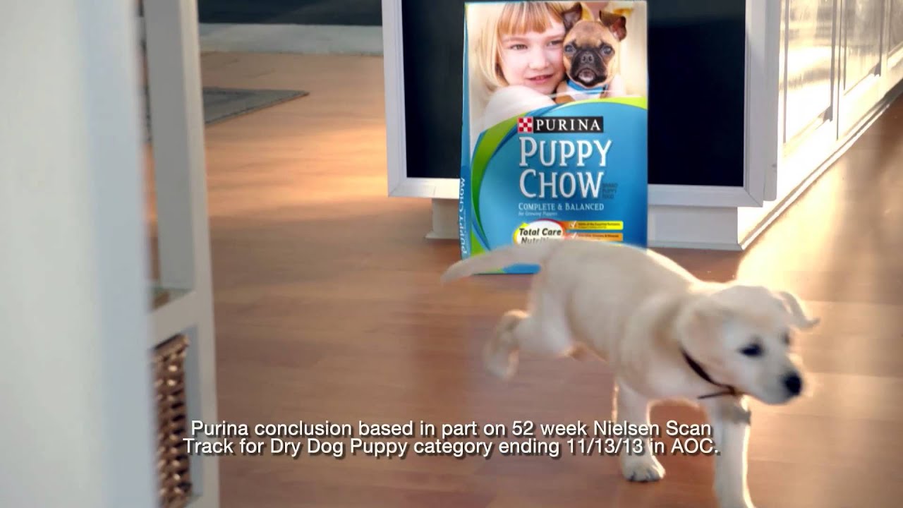 puppy advertising