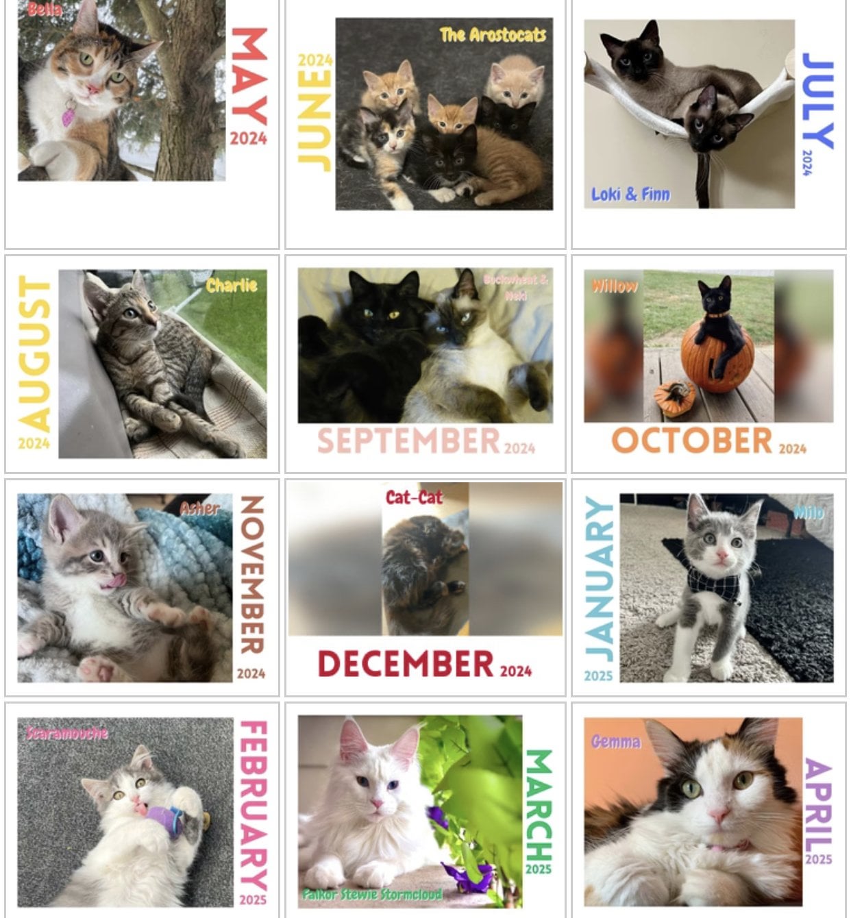 the paw print store legit