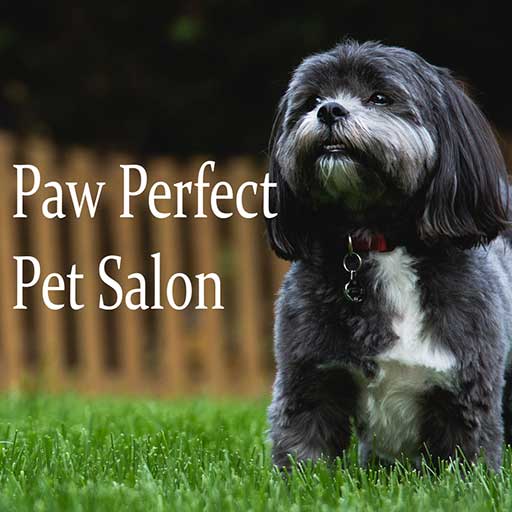 paw perfect pet salon inc