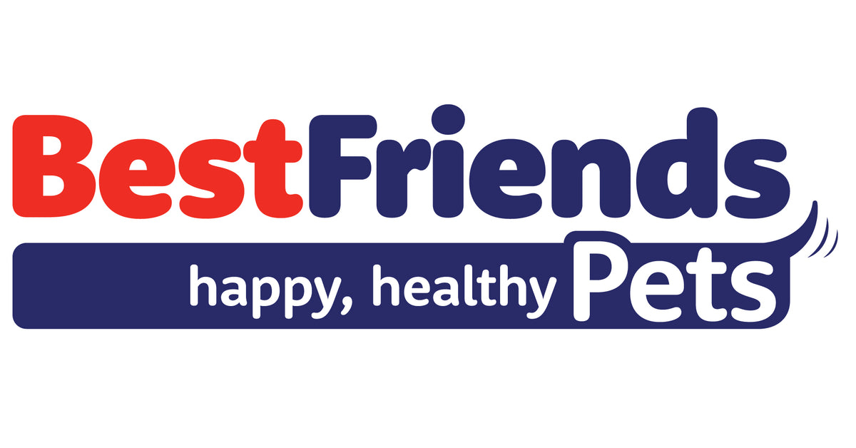 best friends pet shop