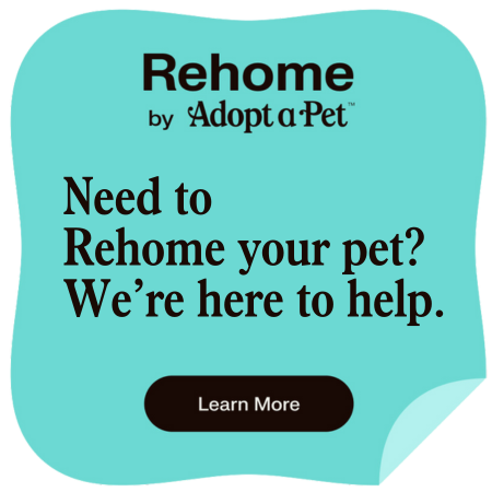 adoptapet rehome