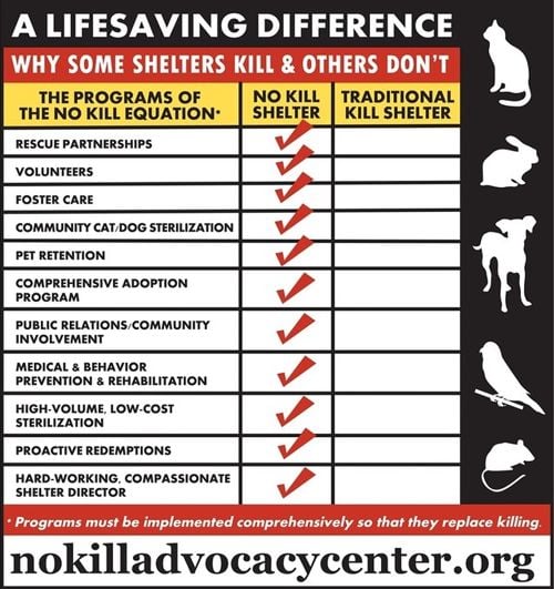 nearby no kill shelters