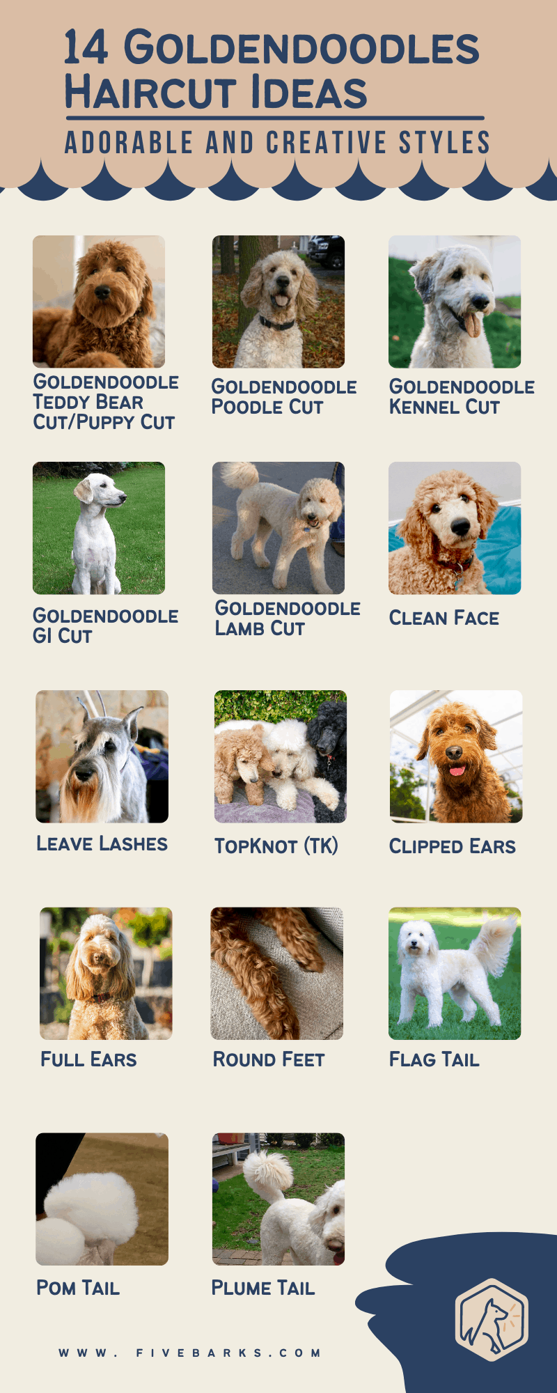 types of goldendoodle haircuts