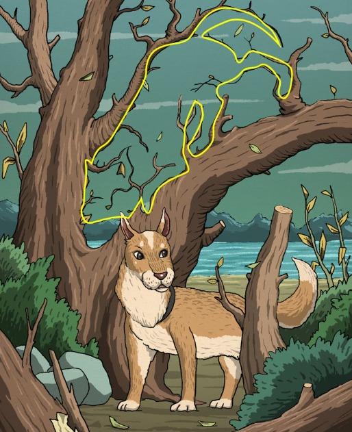 find the cat picture