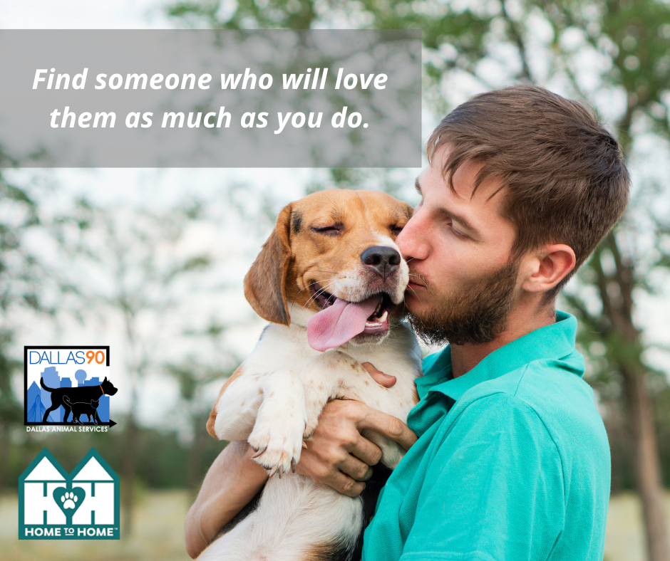 free pet rehoming sites