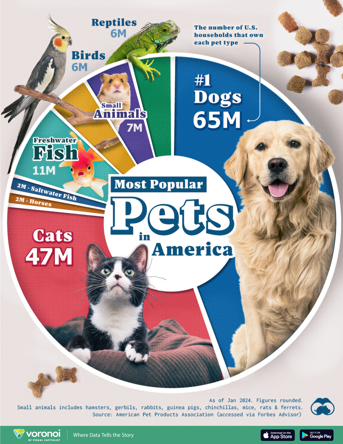 us pets