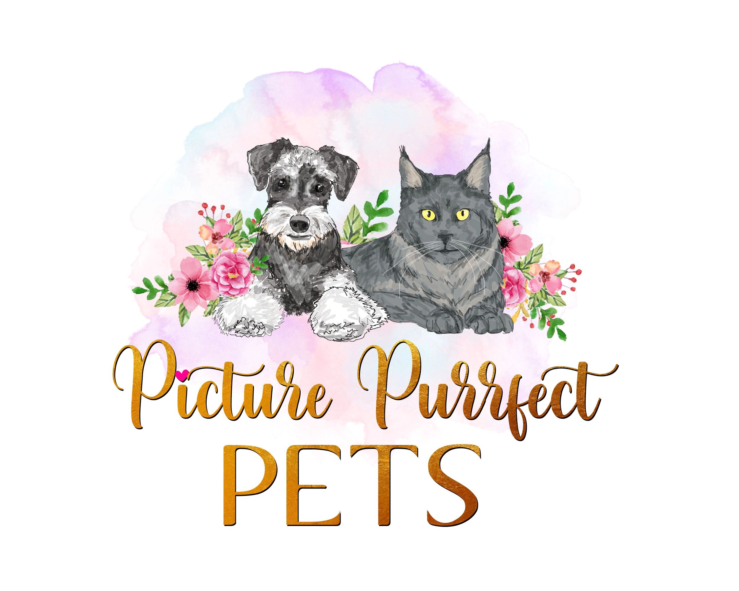 picture purrfect pets
