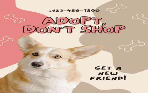 missing puppy near me