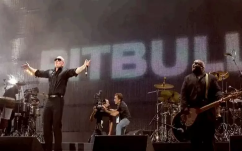 alaska walmart pitbull