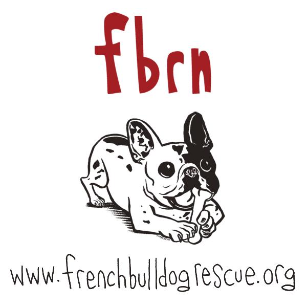 bulldog rescue network