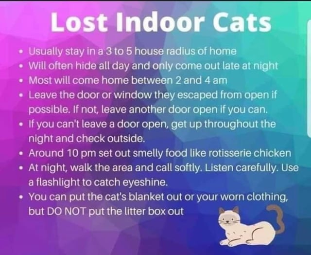 how to find your cat in the house