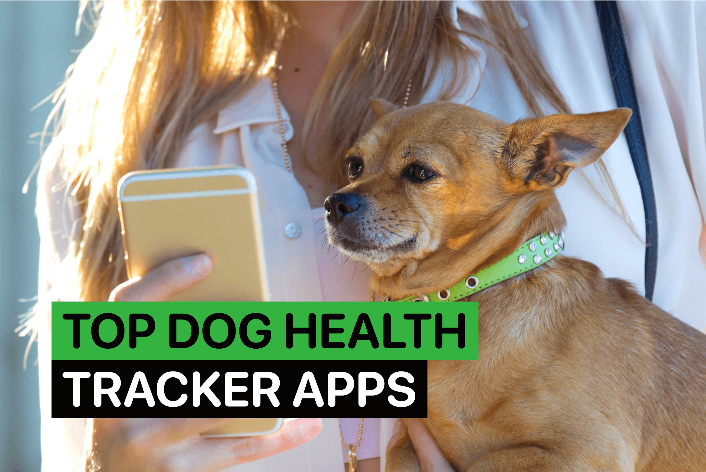 best dog training apps 2025