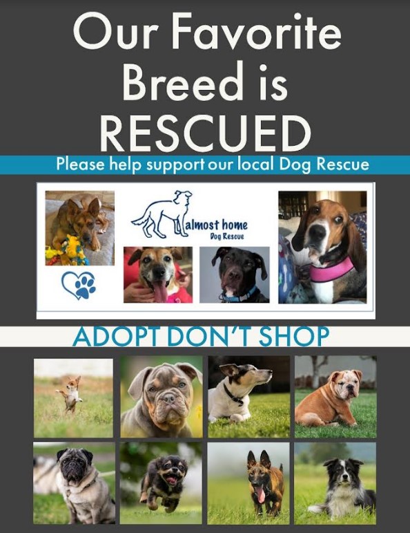 local dog rescue groups