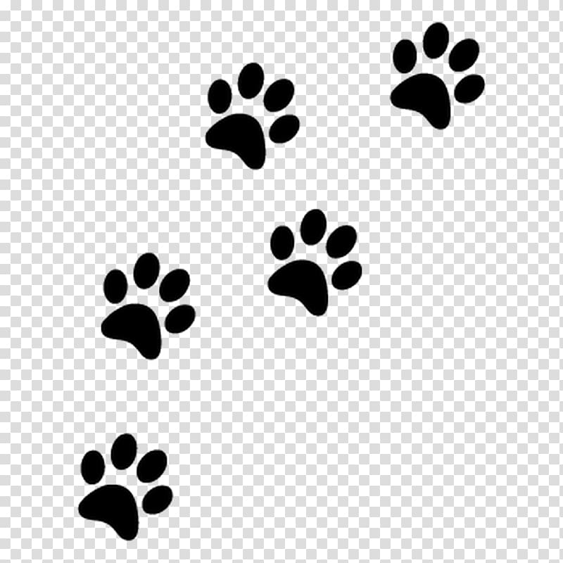 yorkshire terrier paw print