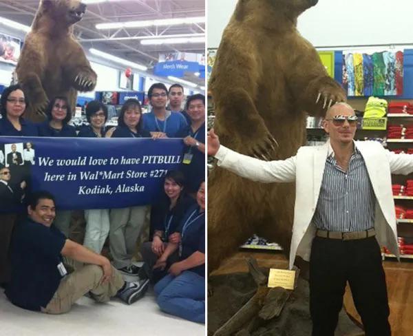 alaska walmart pitbull