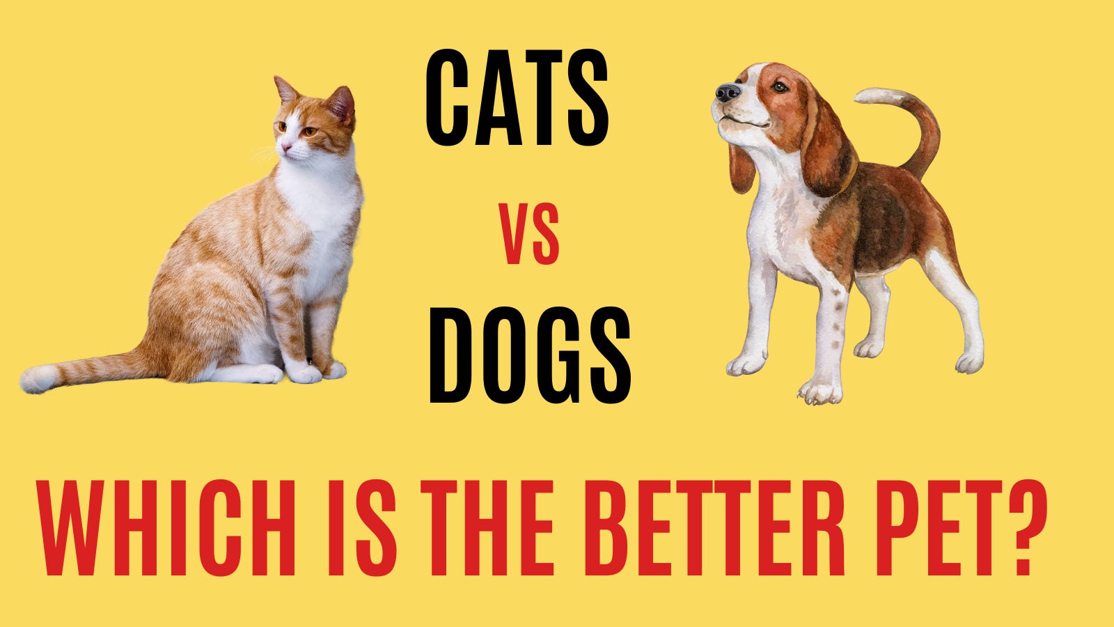 what is a better pet cat or dog