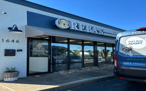 animal rescue shopping site