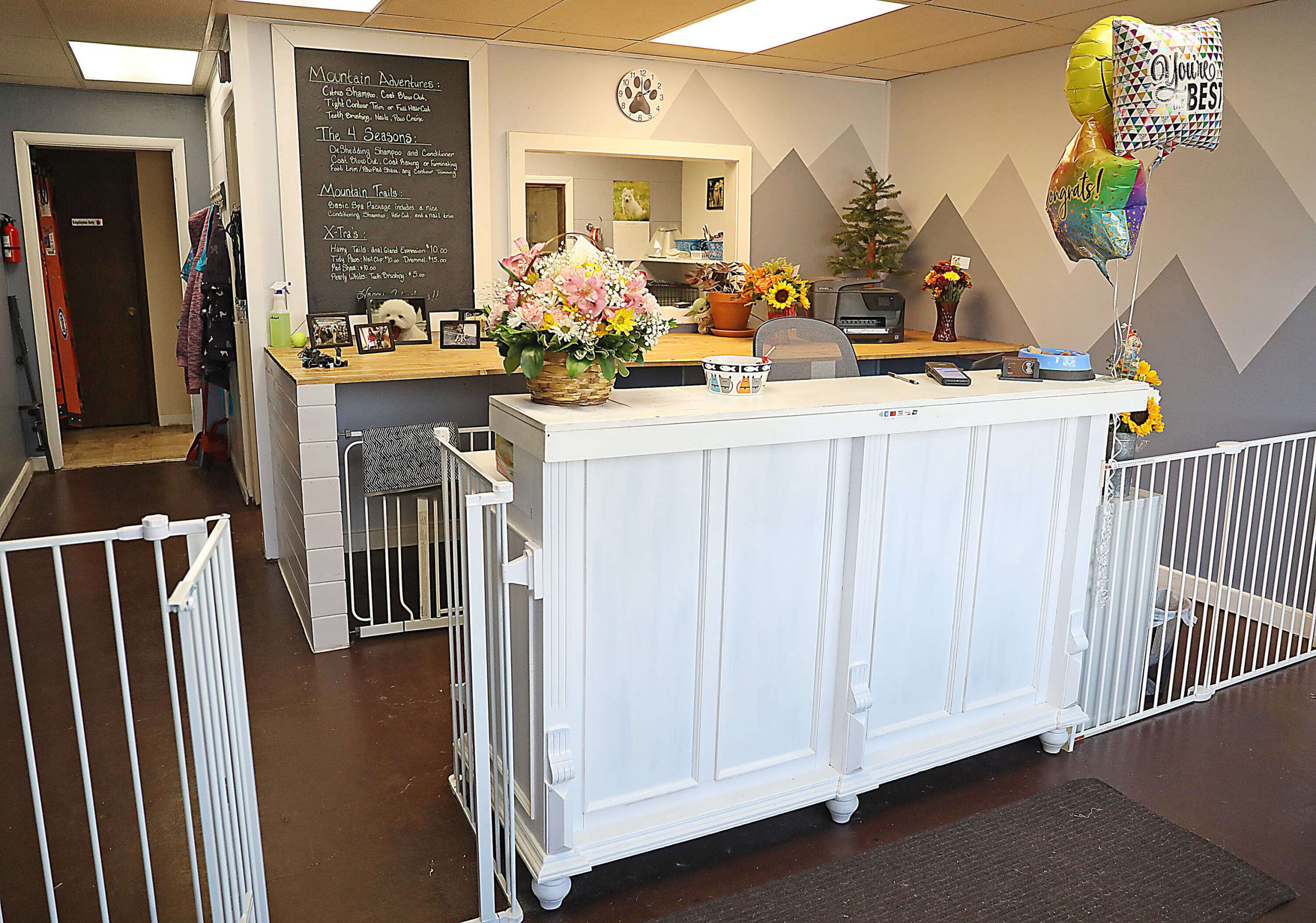 best grooming places for dogs near me