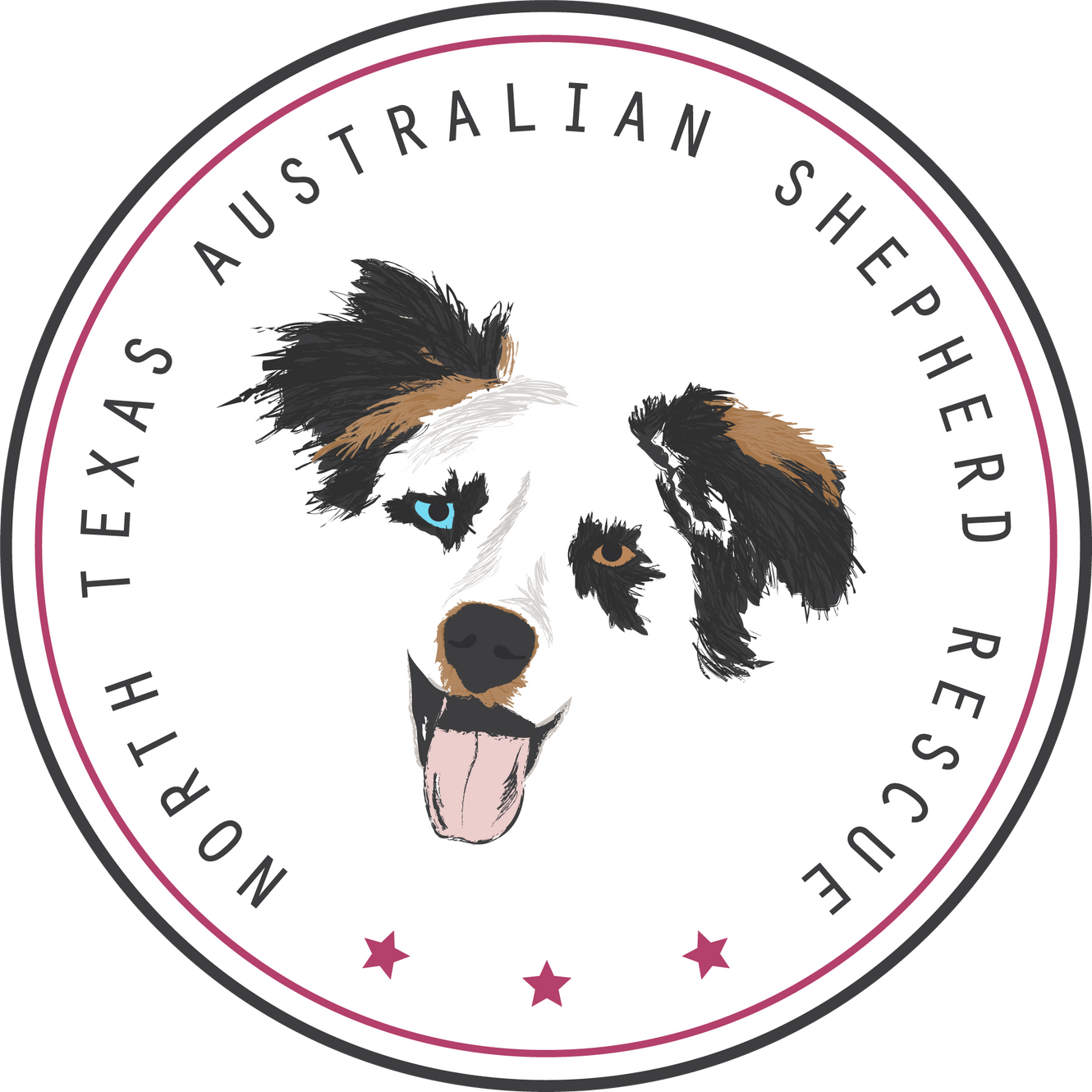 australian shepherd rescue groups