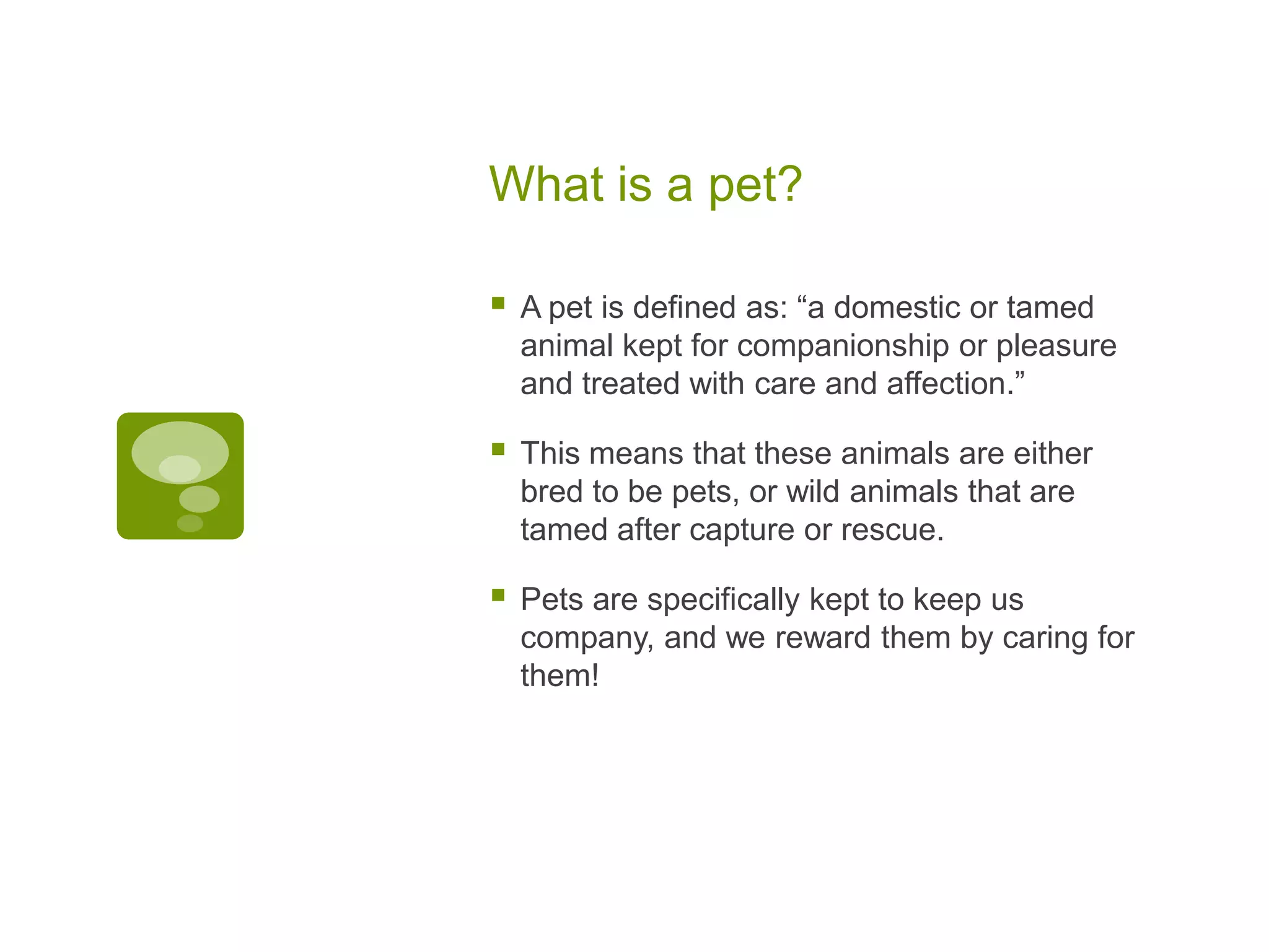 what is a pet