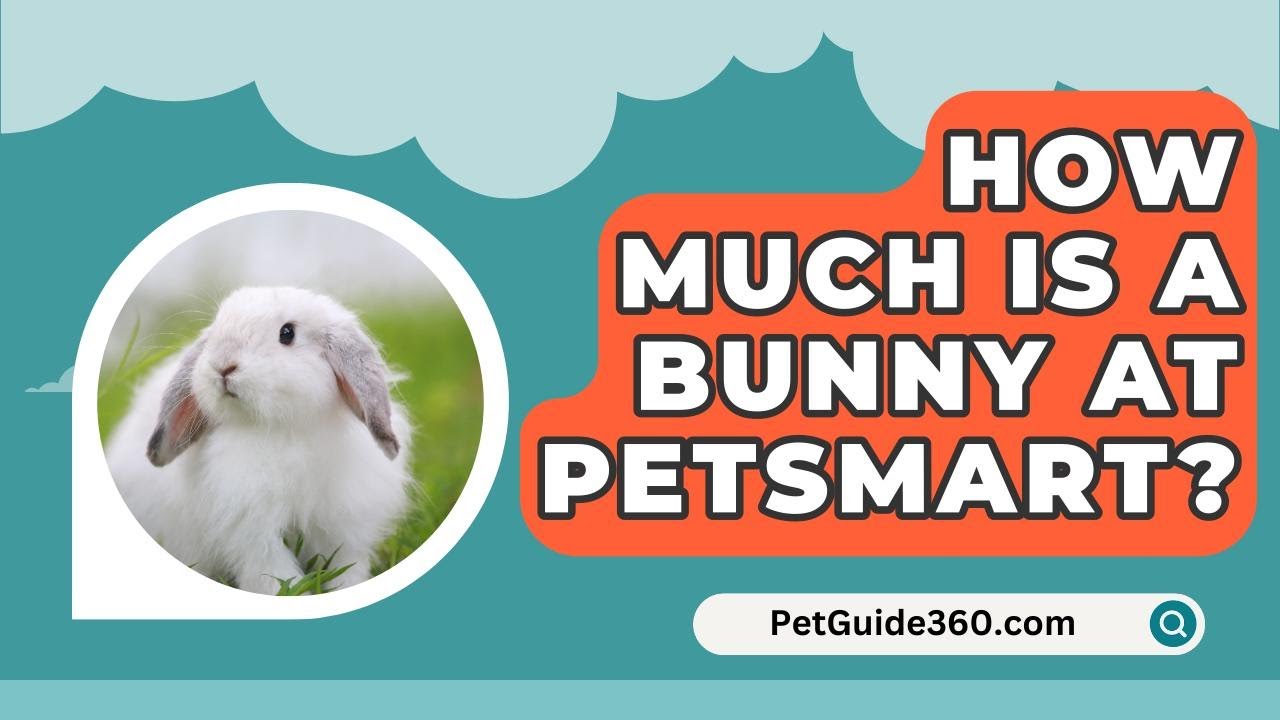 how much are bunnies at petsmart