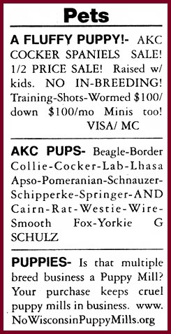 classified ads for pets