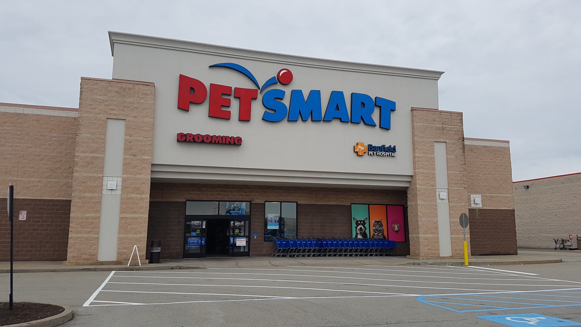 petsmart in washington