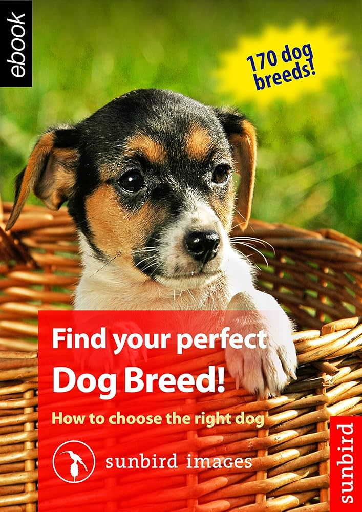 find your breed