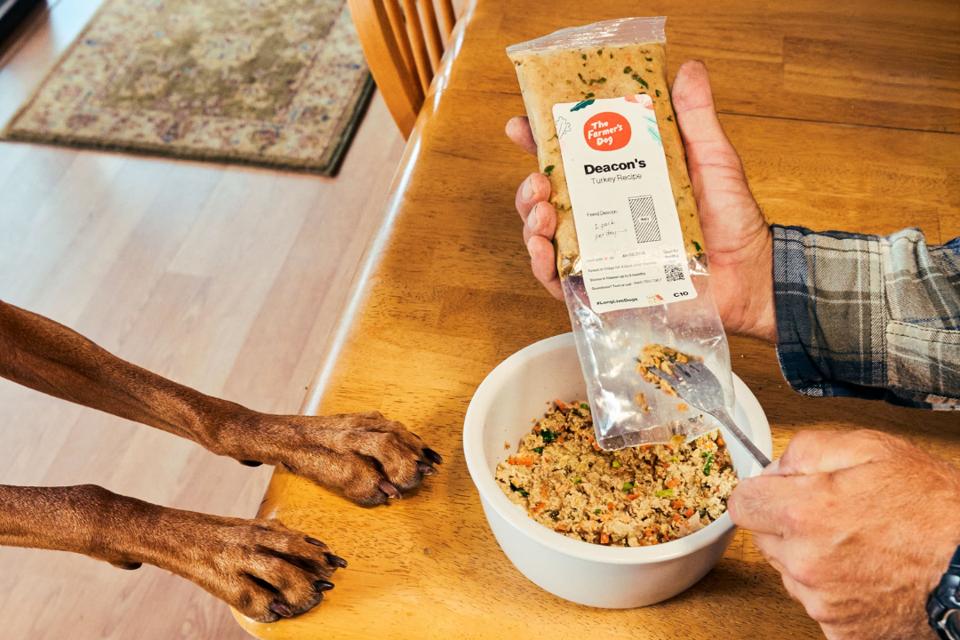best dog food service