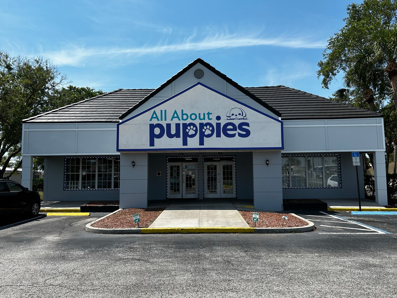 shops that sell puppies