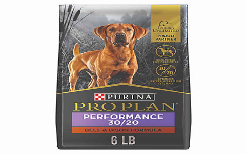 om purina dog food