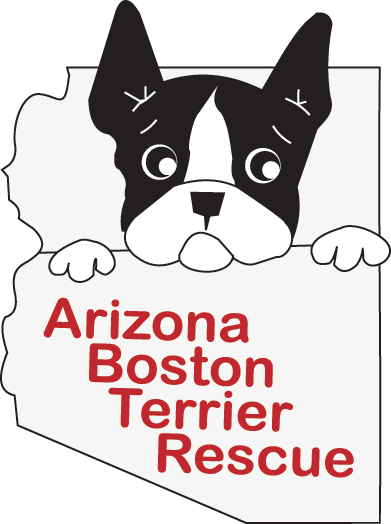 boston terrier rescue az
