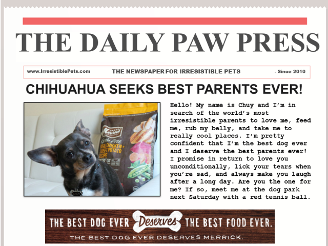 classified ads for pets