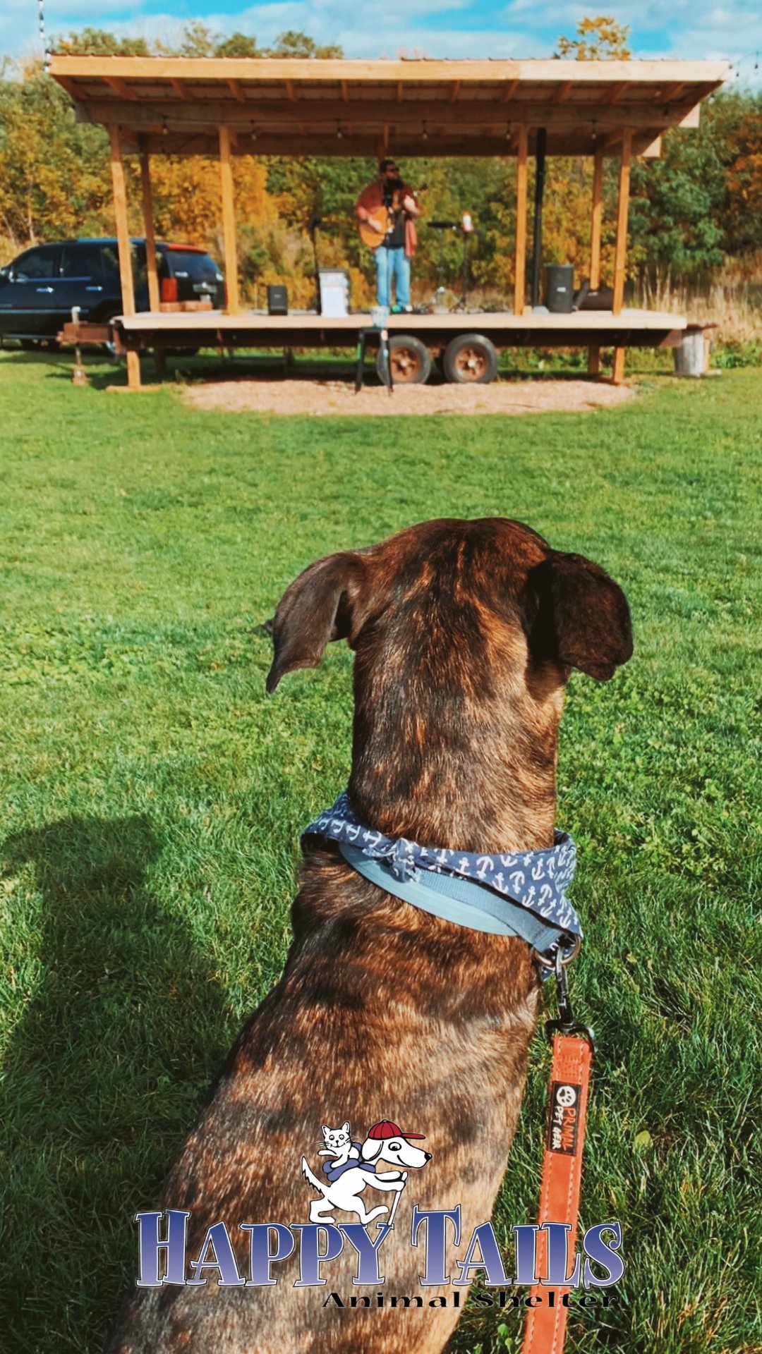 ontario county humane society photos